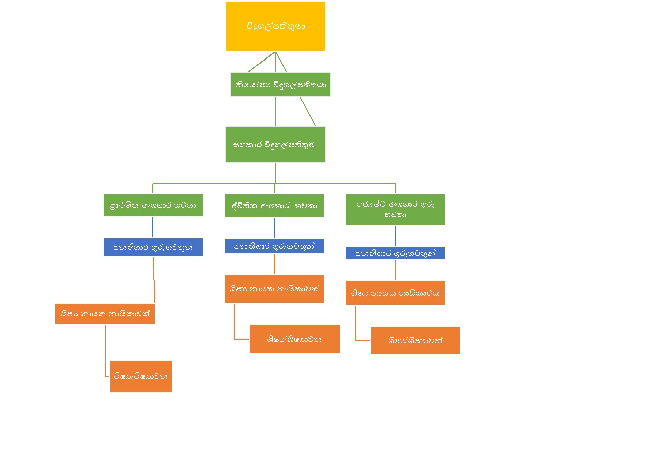 Management Structure  (Sample)