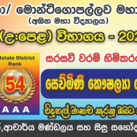 2022 උසස් පෙළ  ප්‍රතිඵල